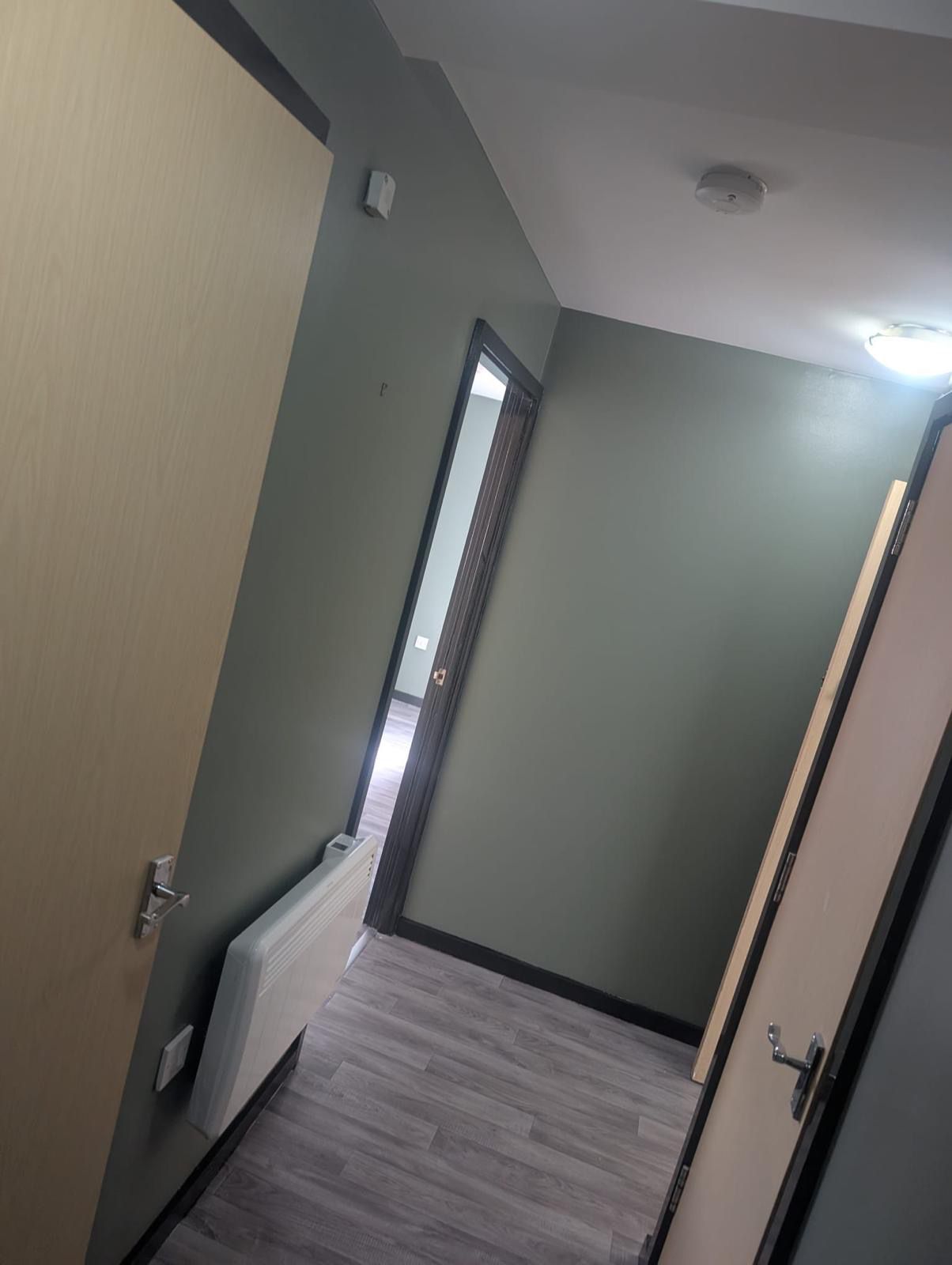 Commercial corridor painted in sage green with dark trim